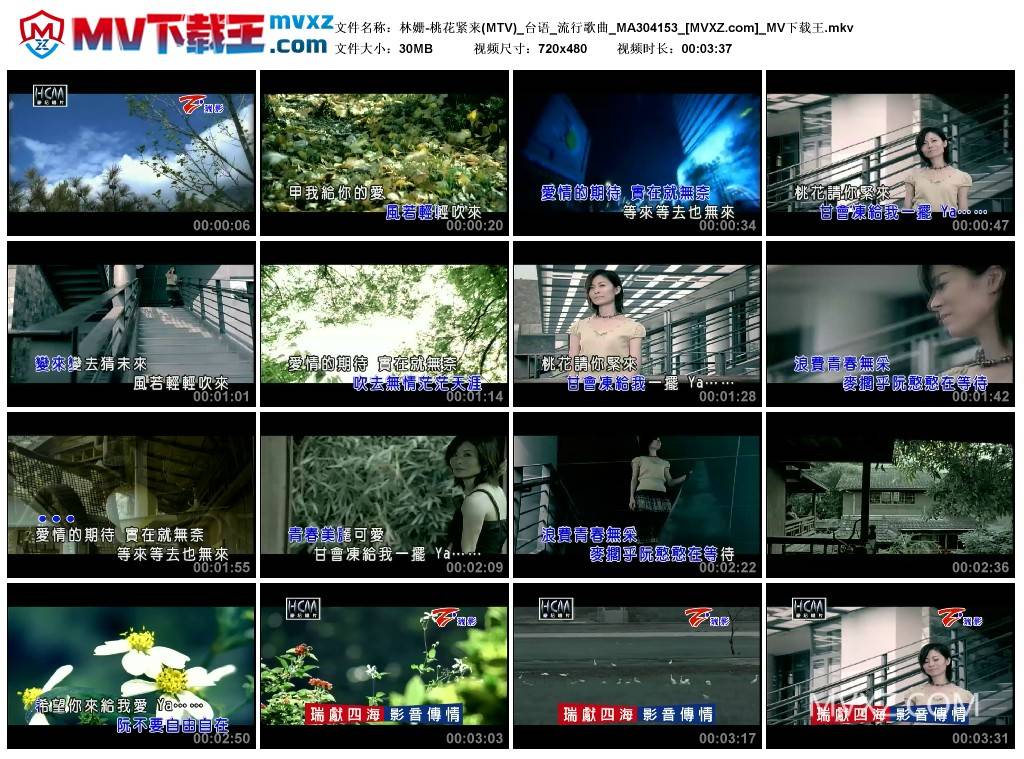 林姗-桃花紧来(MTV)_台语_流行歌曲_MA304153